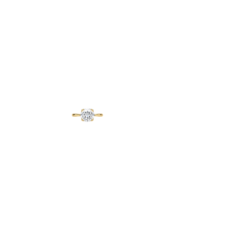 Ring on Hand