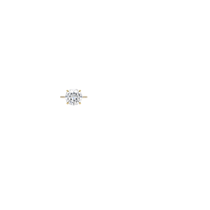 Ring on Hand