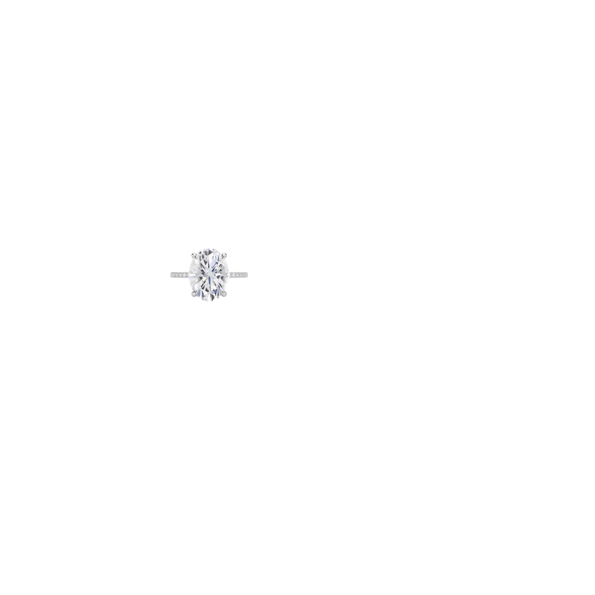 Ring on Hand