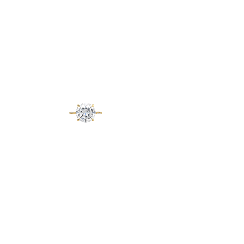 Ring on Hand