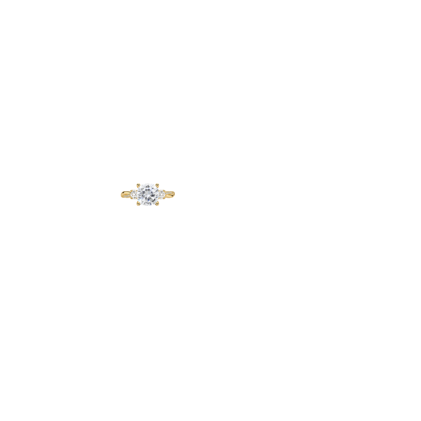 Ring on Hand
