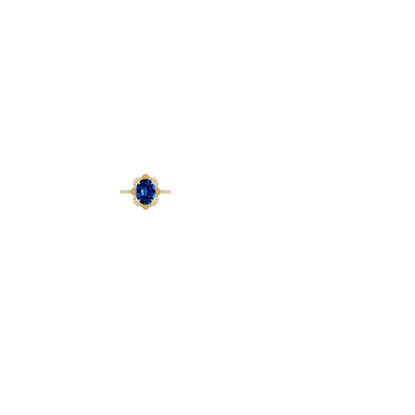 Ring on Hand