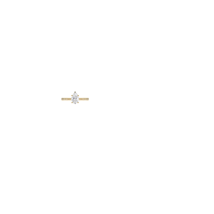 Ring on Hand