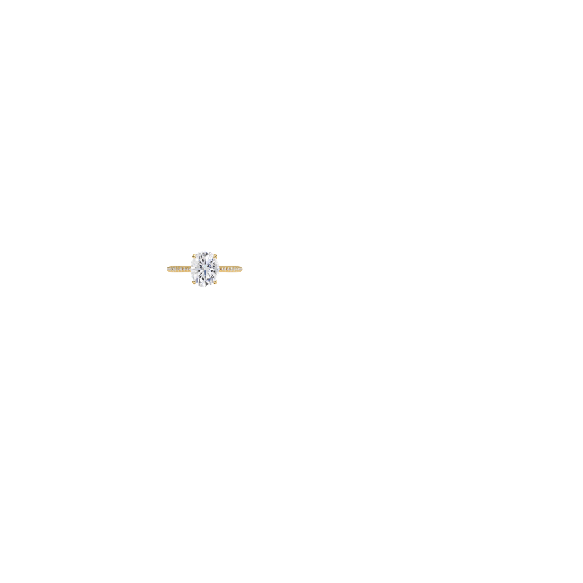 Ring on Hand