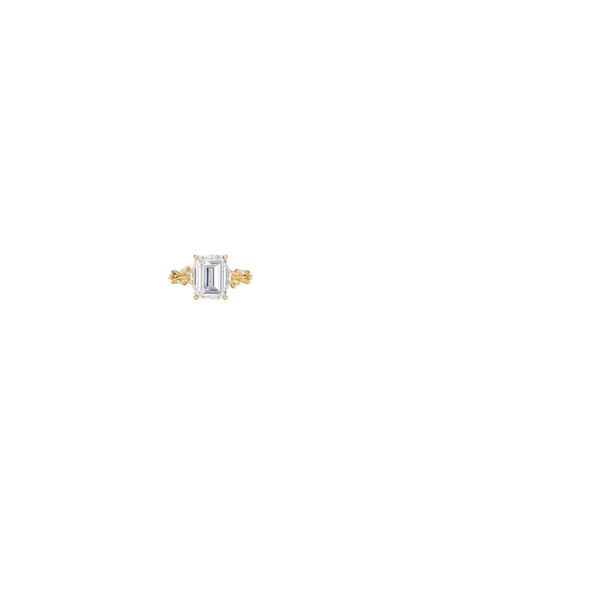 Ring on Hand