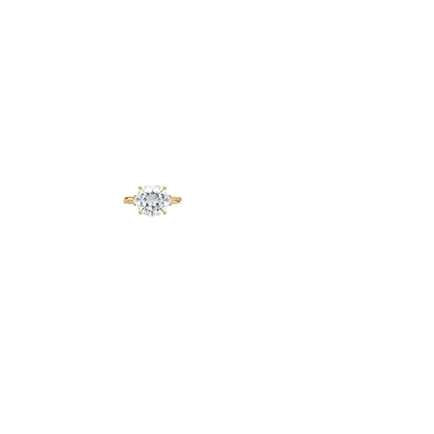 Ring on Hand
