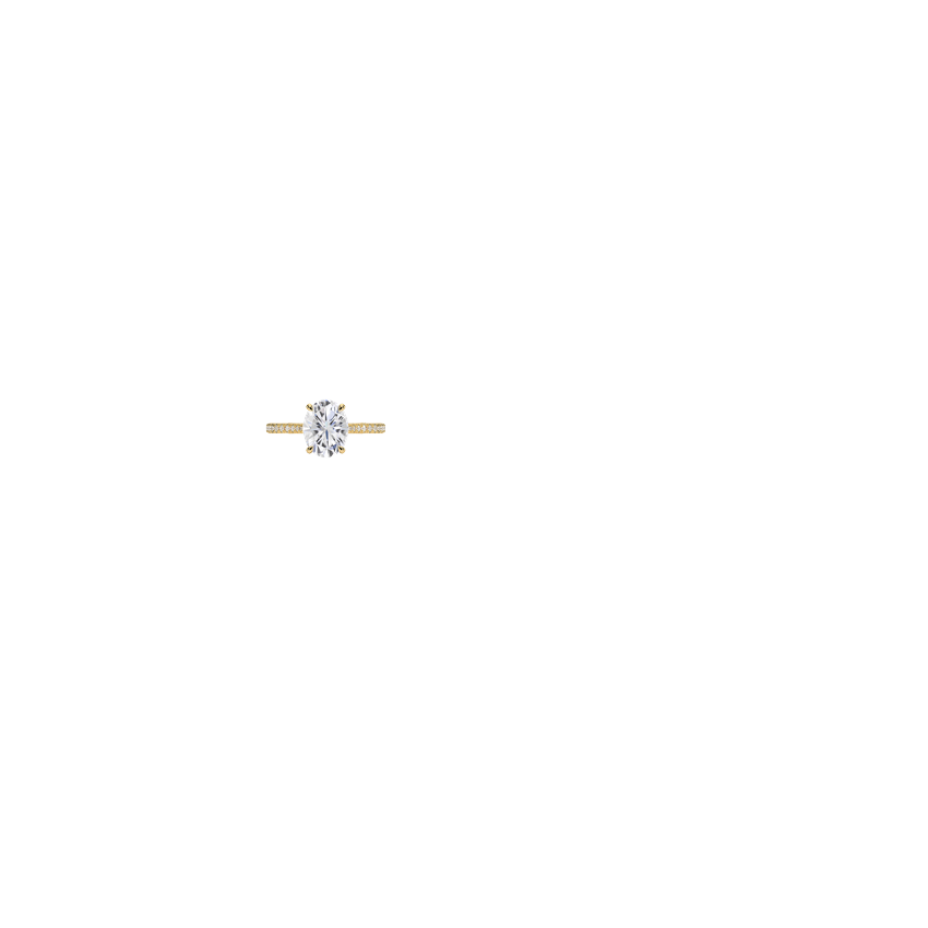 Ring on Hand