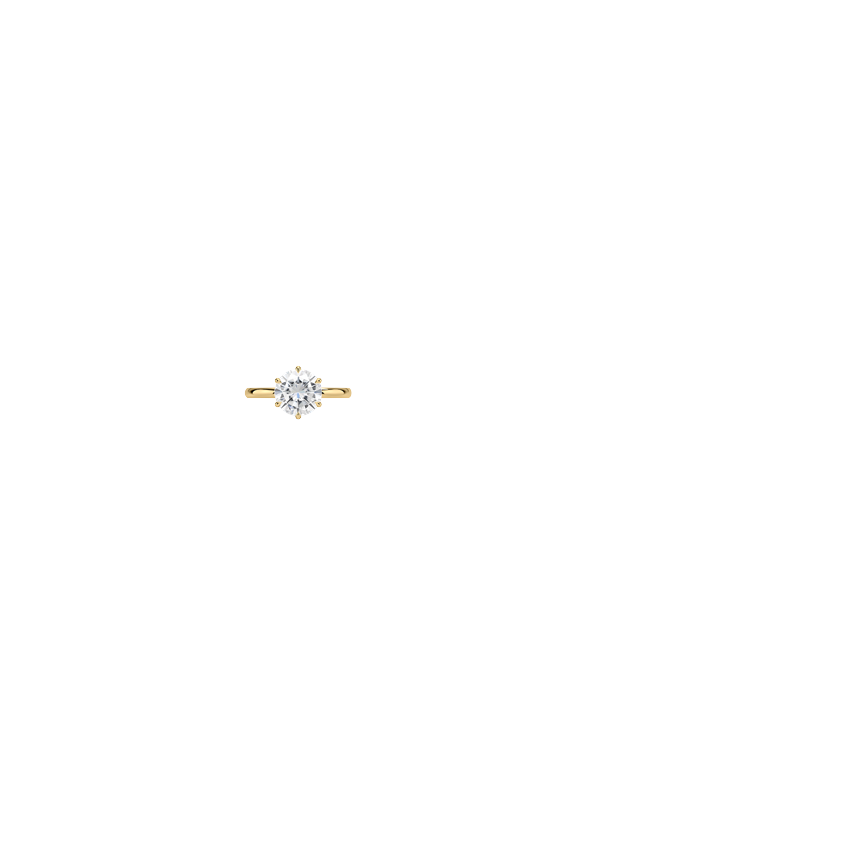 Ring on Hand