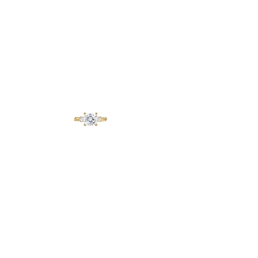 Ring on Hand