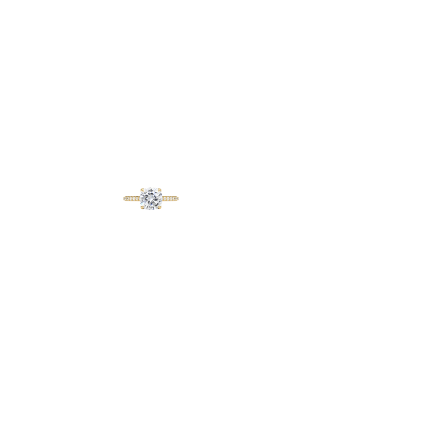 Ring on Hand