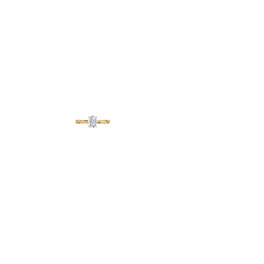 Ring on Hand