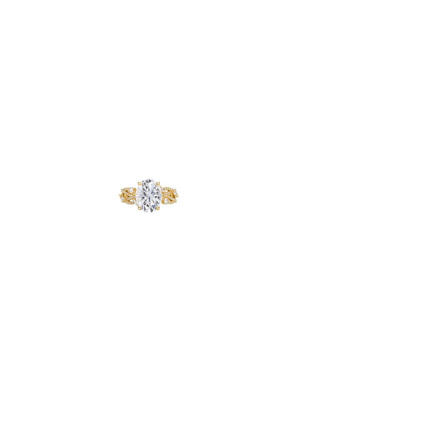 Ring on Hand