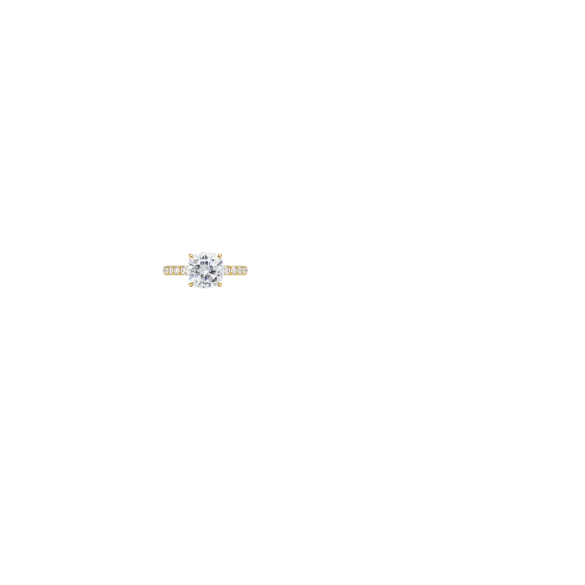 Ring on Hand