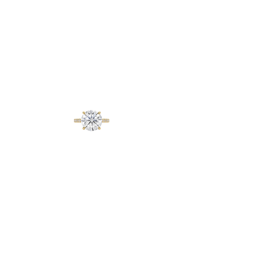 Ring on Hand