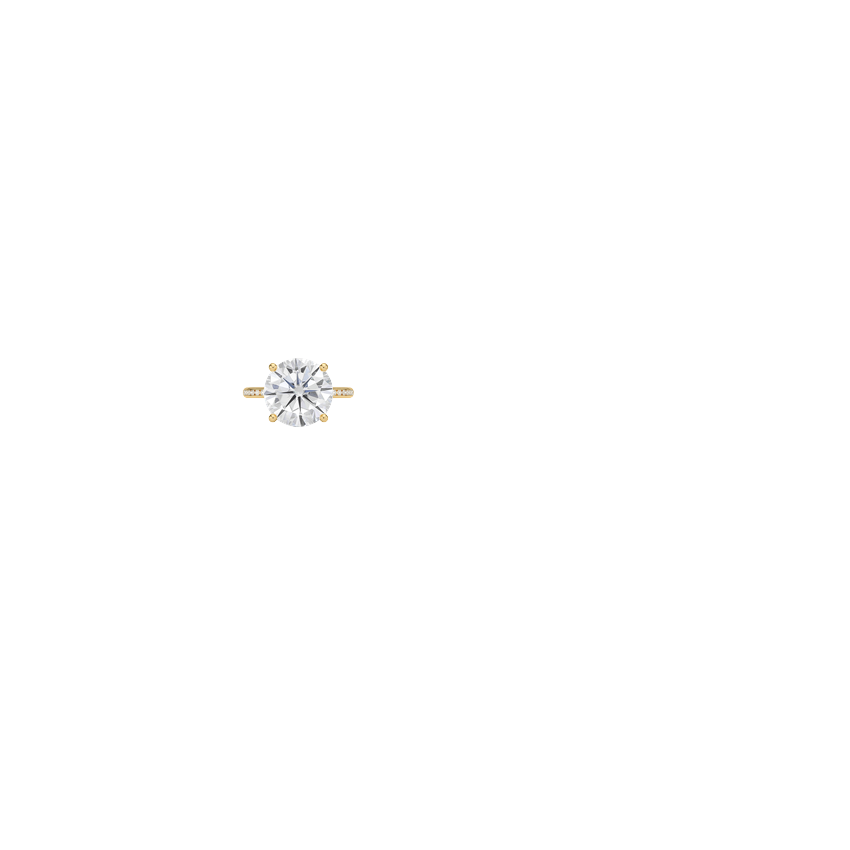 Ring on Hand