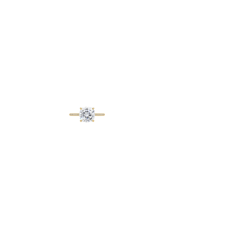 Ring on Hand