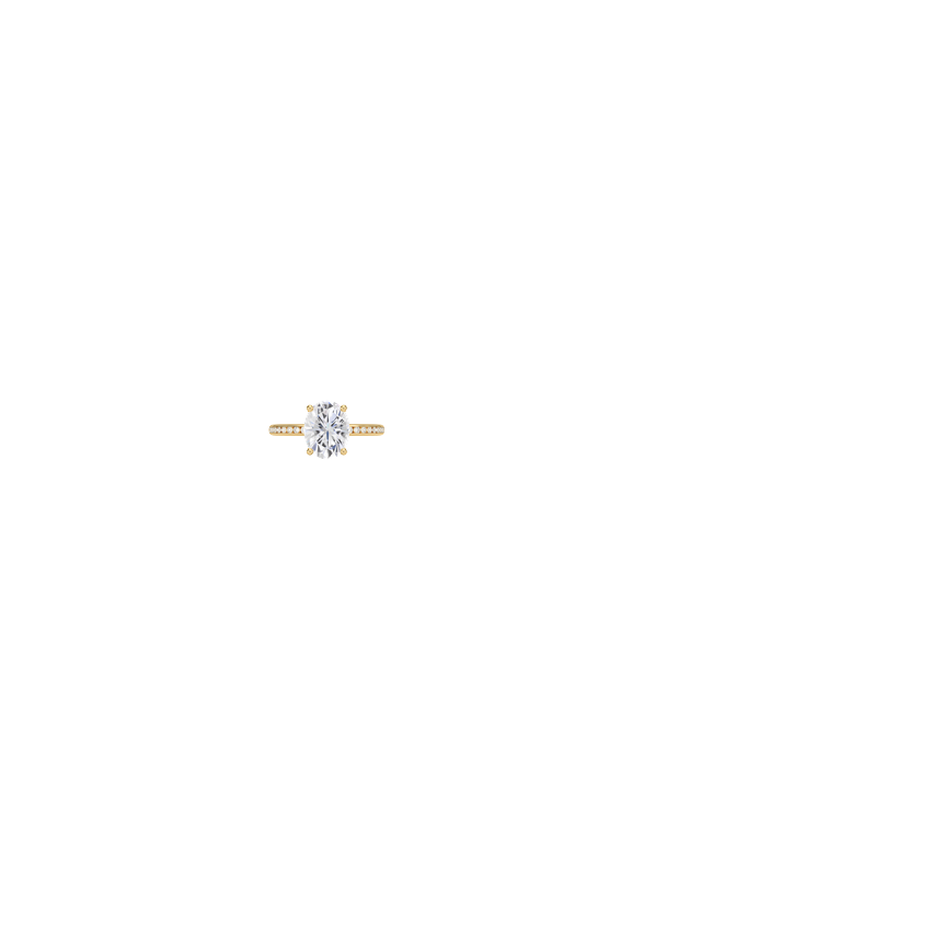 Ring on Hand