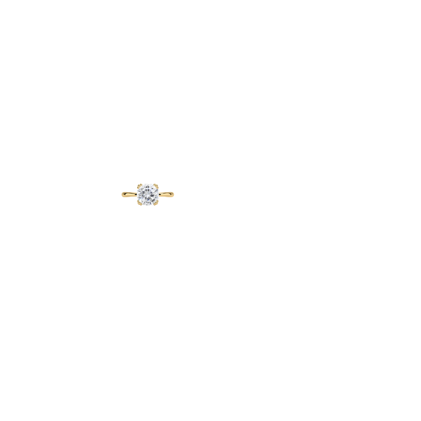 Ring on Hand