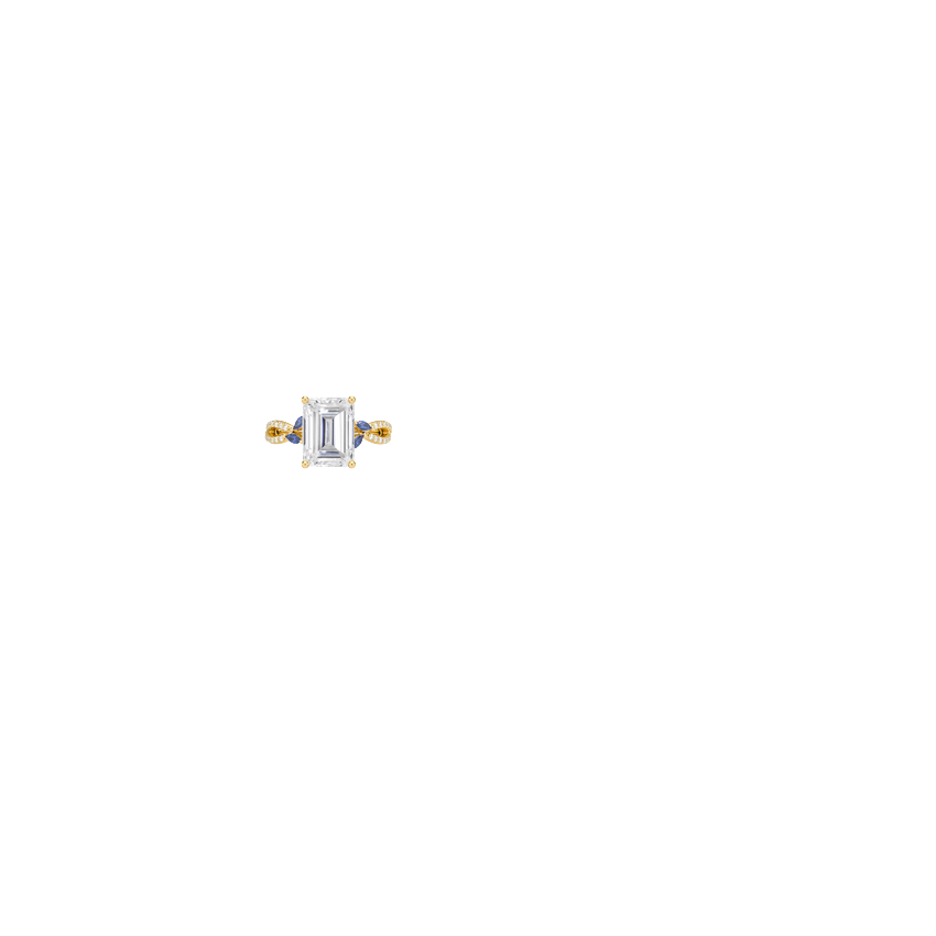Ring on Hand