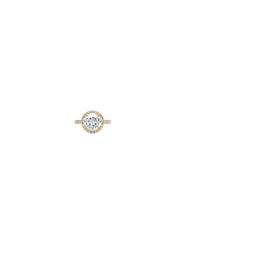 Ring on Hand