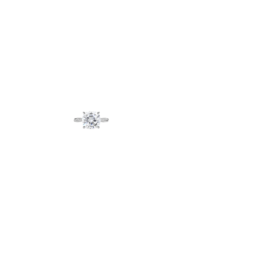 Ring on Hand