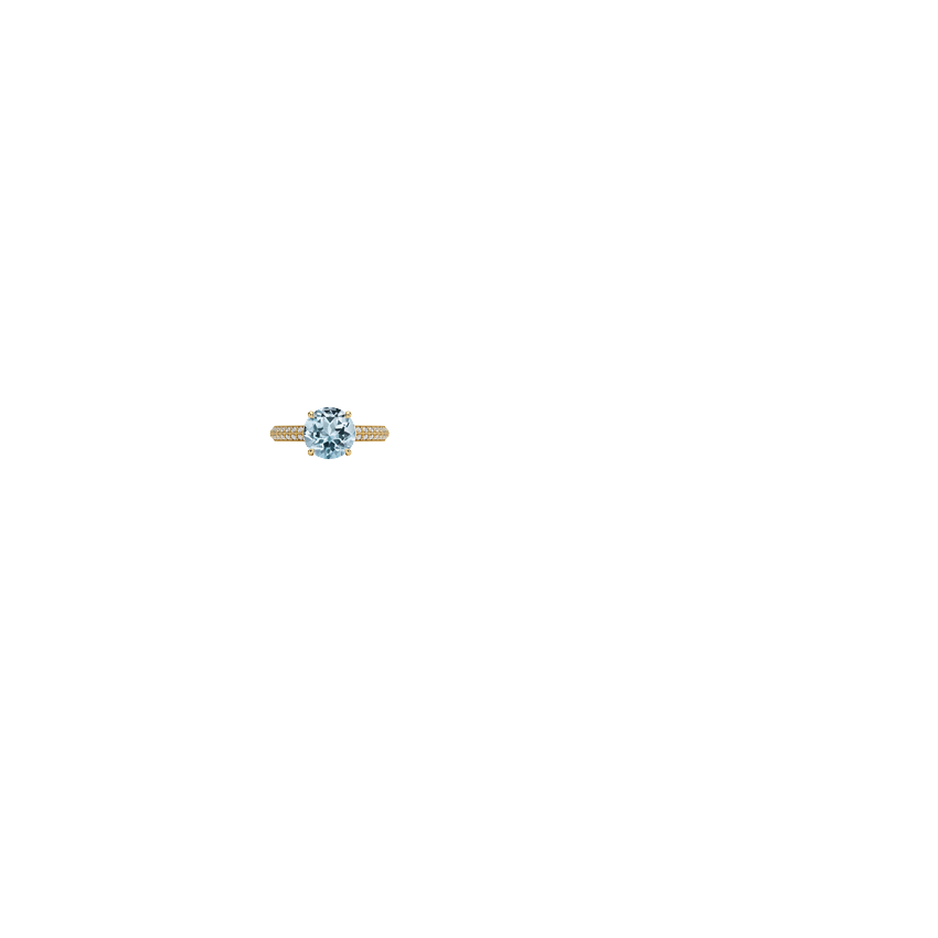 Ring on Hand