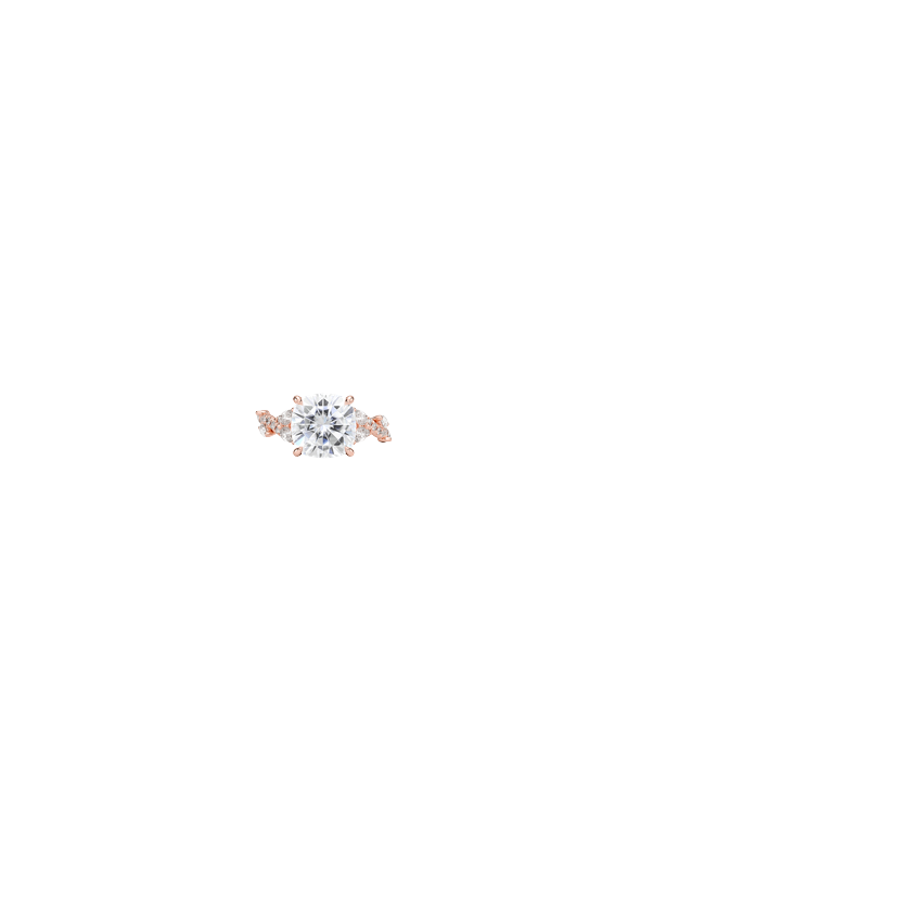 Ring on Hand