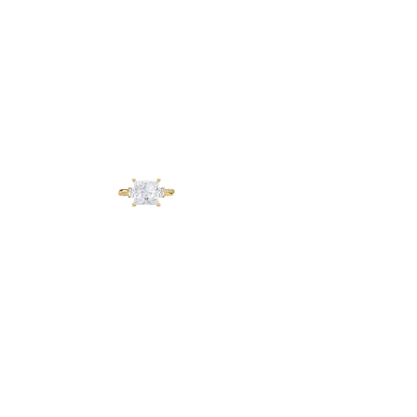Ring on Hand