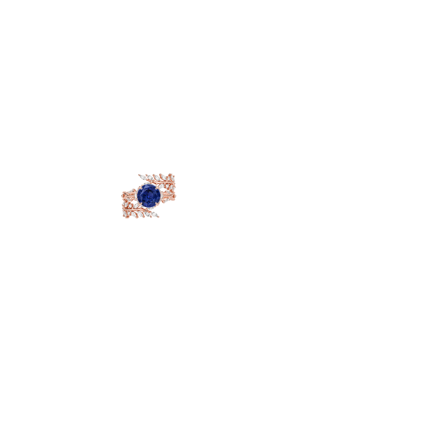 Ring on Hand