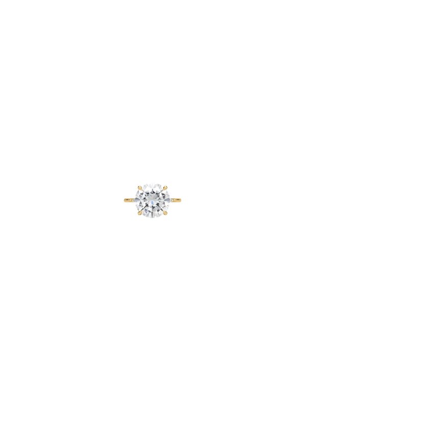 Ring on Hand