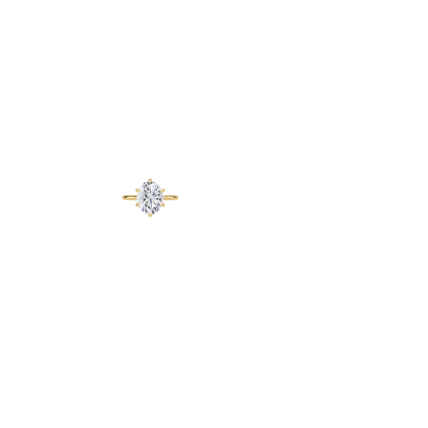 Ring on Hand
