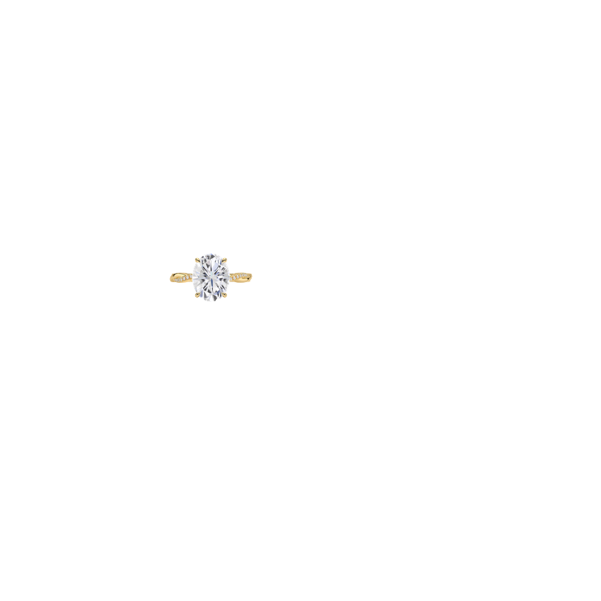 Ring on Hand