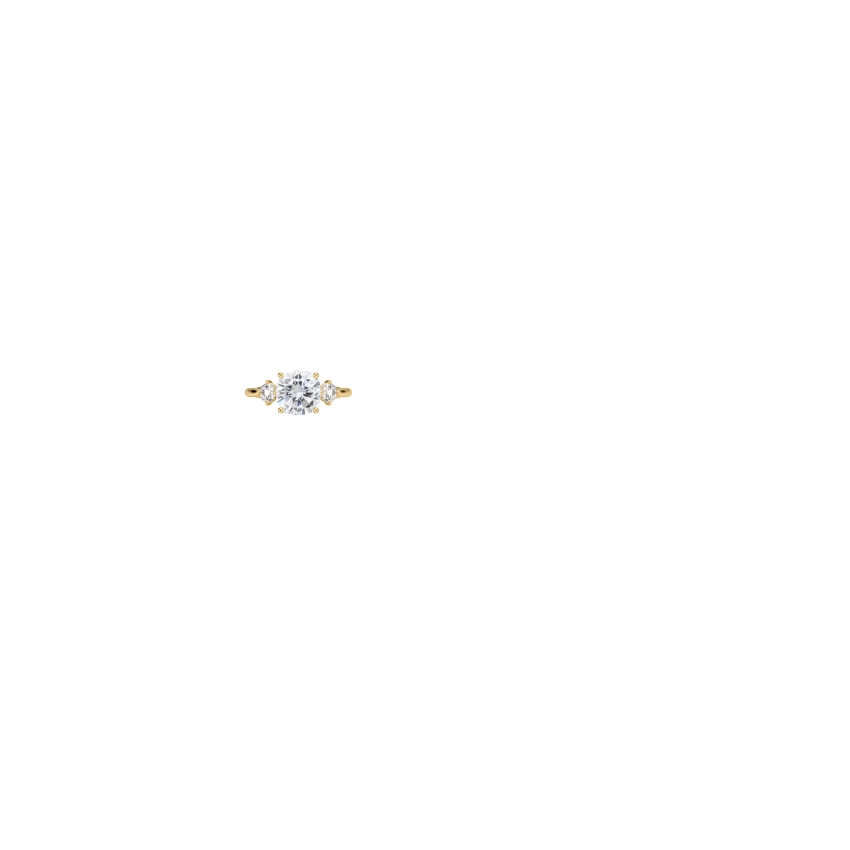 Ring on Hand