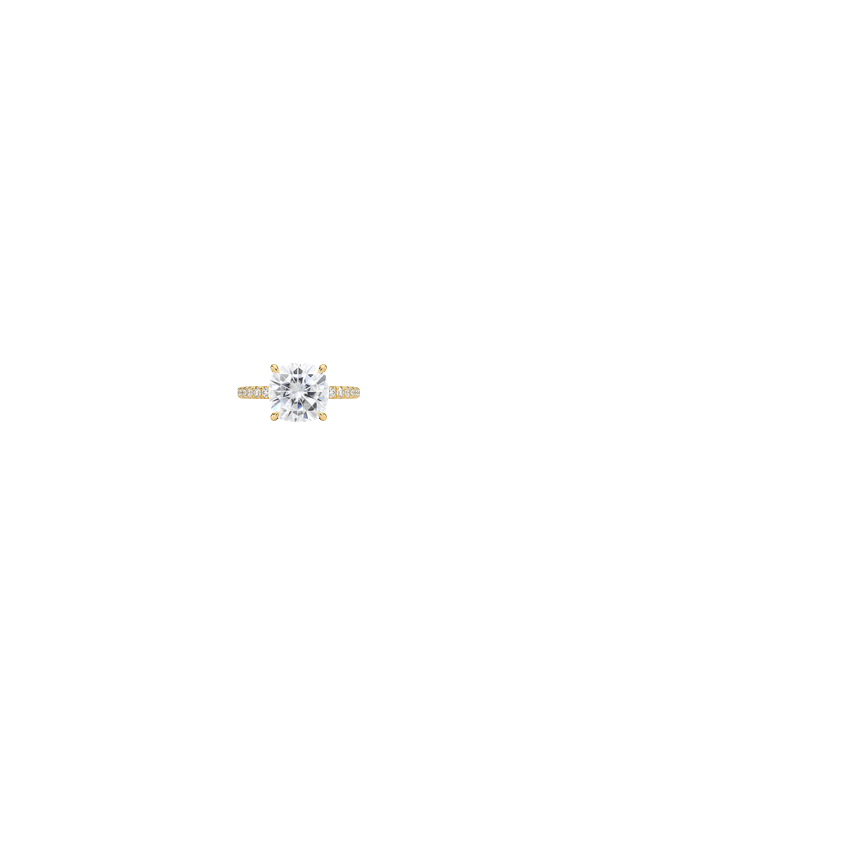 Ring on Hand