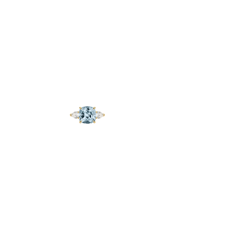 Ring on Hand