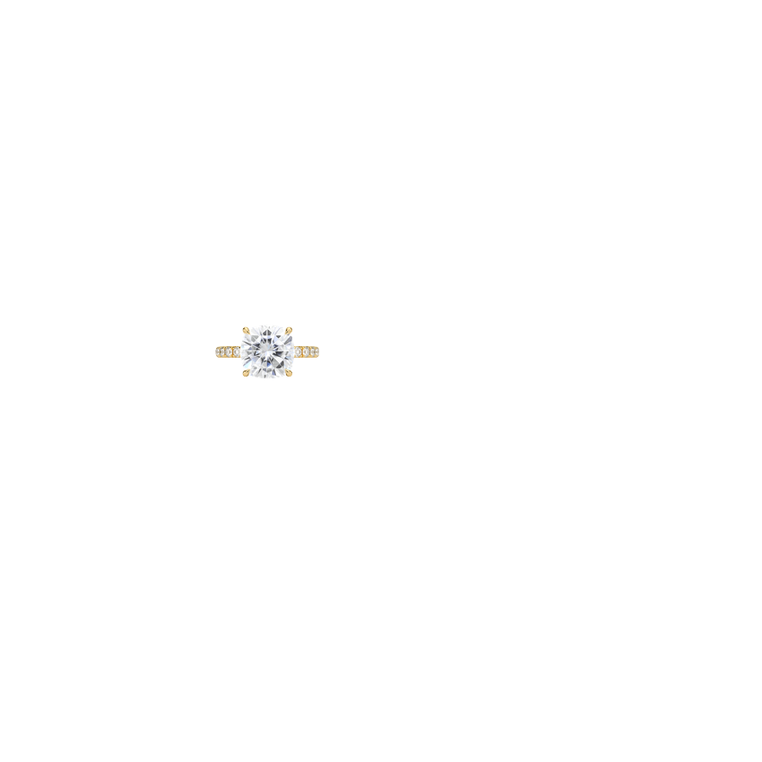 Ring on Hand