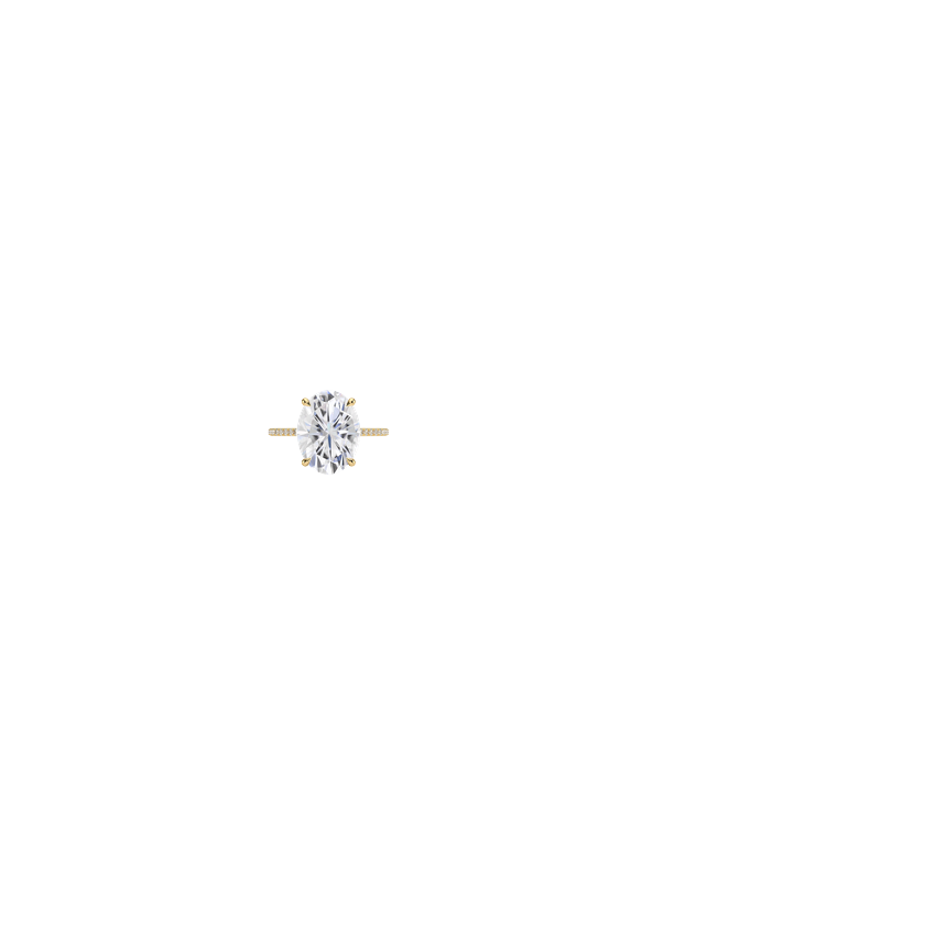 Ring on Hand