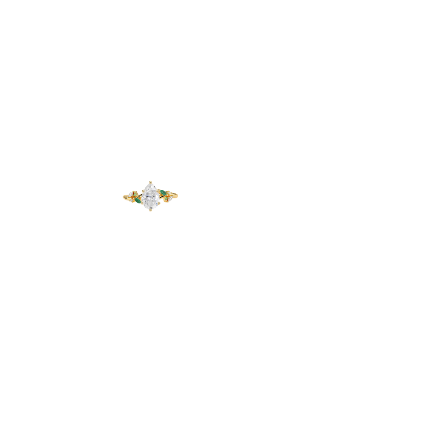 Ring on Hand
