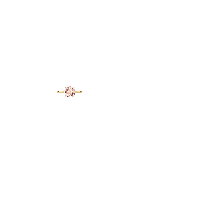 Ring on Hand