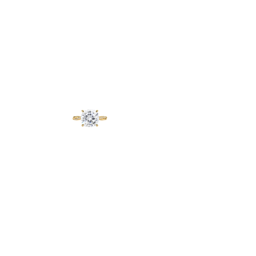 Ring on Hand