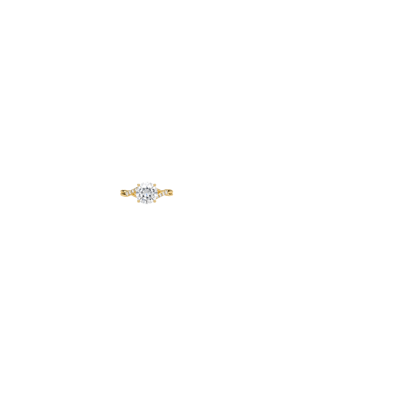 Ring on Hand