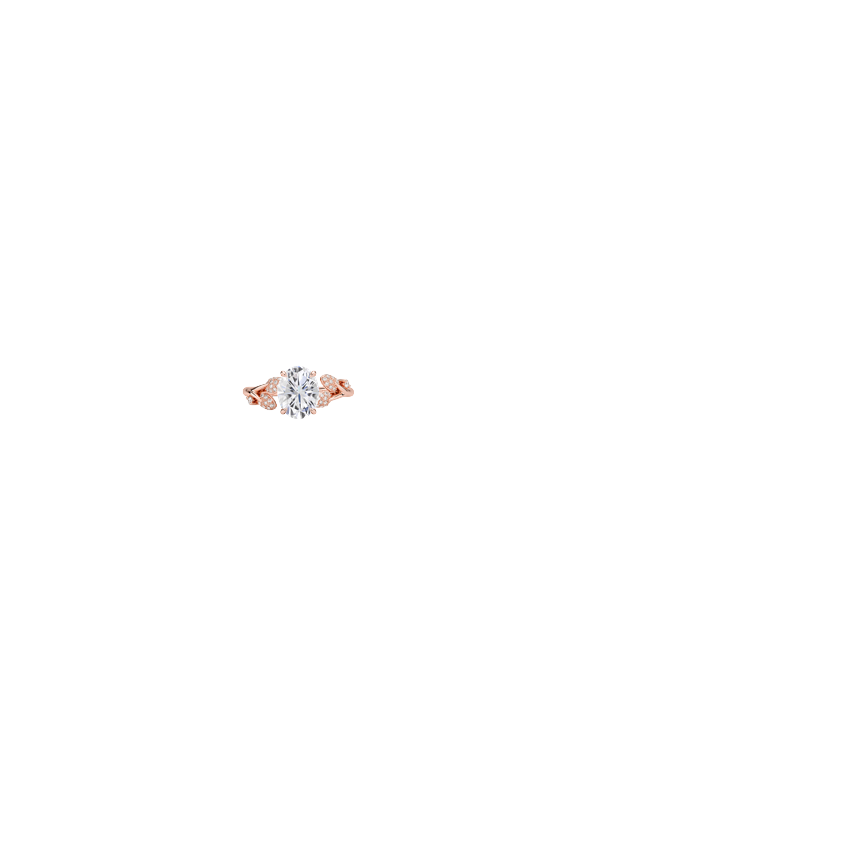Ring on Hand