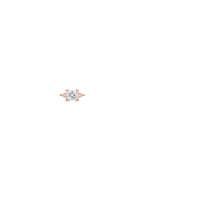 Ring on Hand
