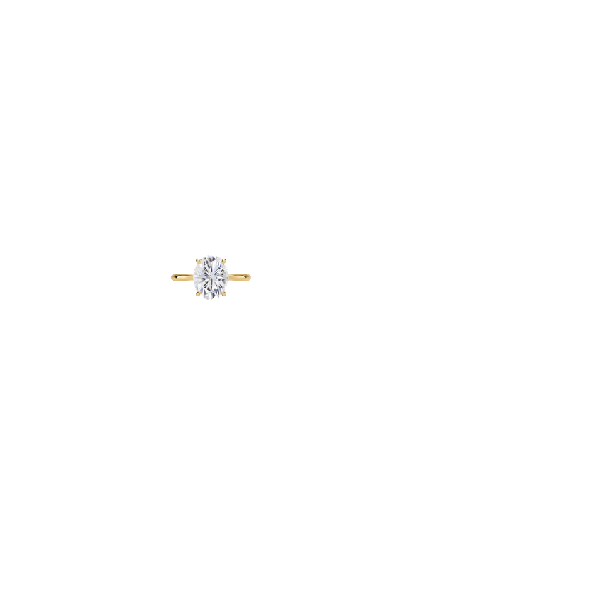 Ring on Hand