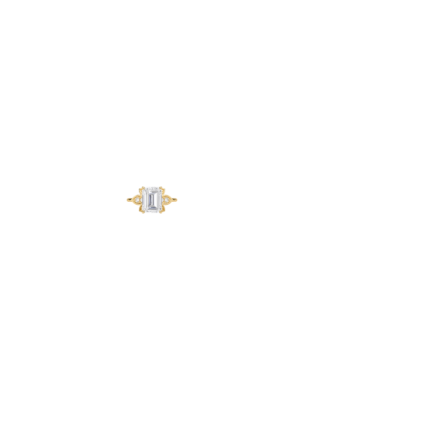 Ring on Hand