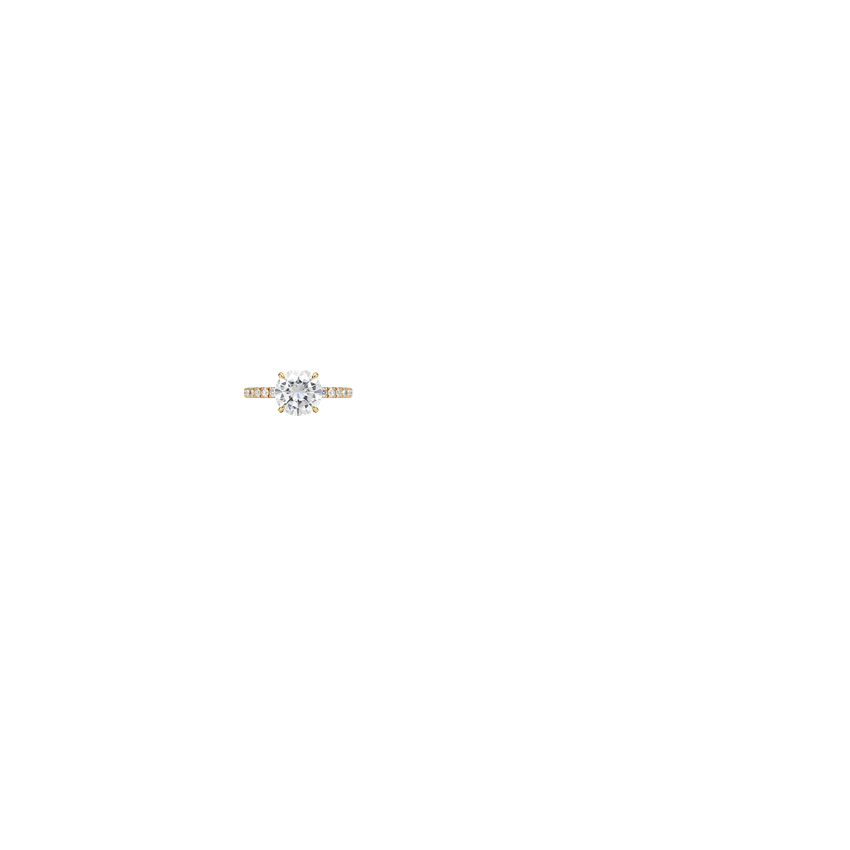 Ring on Hand