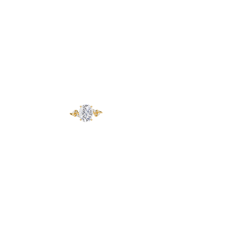 Ring on Hand