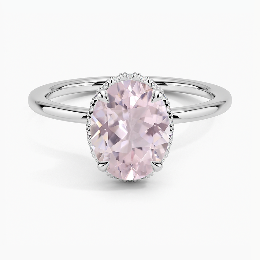 Double Hidden Halo Plain Band Setting Brilliant Earth