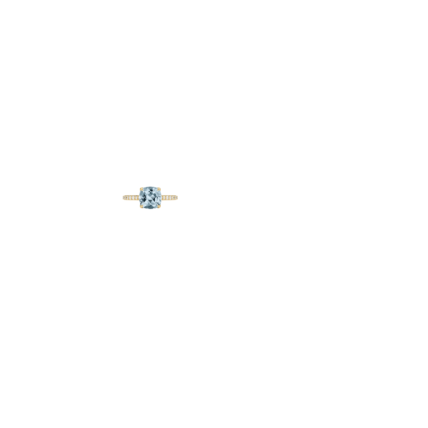 Ring on Hand