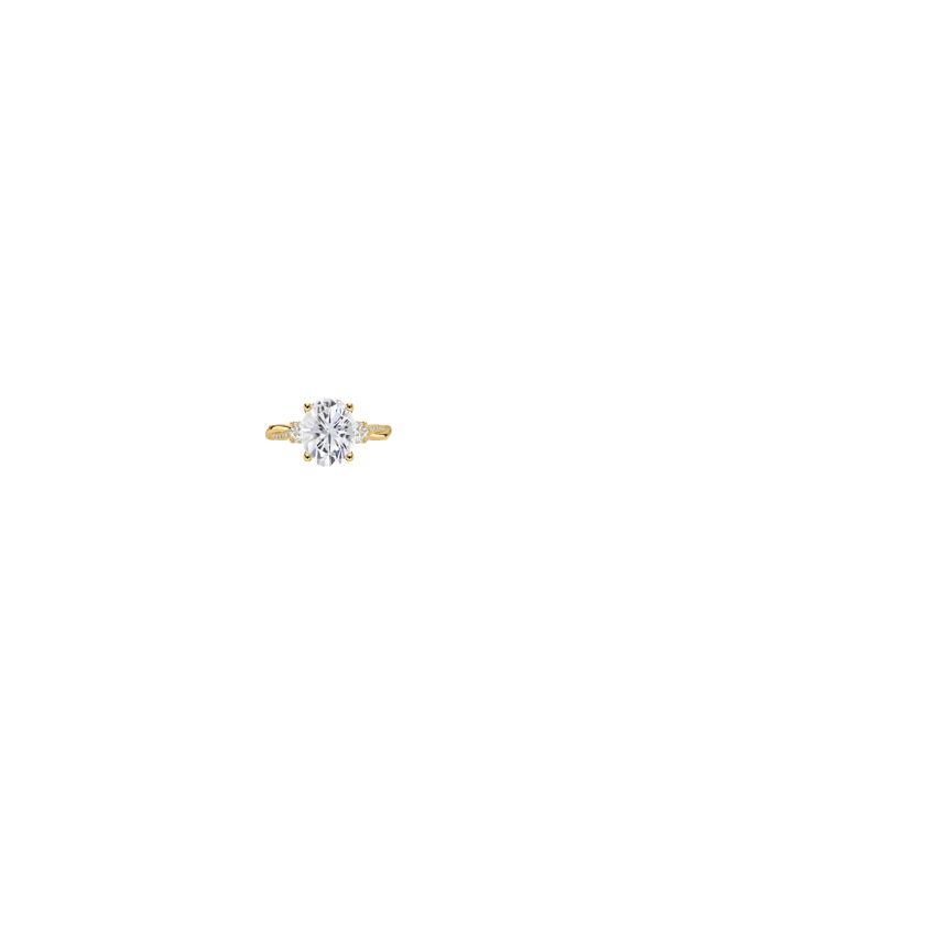 Ring on Hand